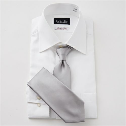 セッテピエゲ・ネクタイ  NP-028-SILVER-コーディネートイメージ