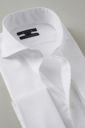 ワイシャツ 8006-E11A-WHITE-衿2