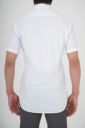 ワイシャツ・ニットシャツ・半袖 8013SS-U04A-WHITE-バック