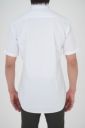 ワイシャツ・ニットシャツ・半袖 8054SS-U04A-WHITE-バック