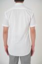 ワイシャツ・ニットシャツ・半袖 8055SS-R04A-WHITE-バック