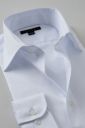 ワイシャツ 8023SD-B03B-WHITE-衿2